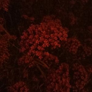 亚洲第一区视频在线观看
